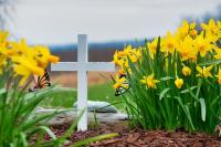 Ashland Memorial Park Cemetery image 1